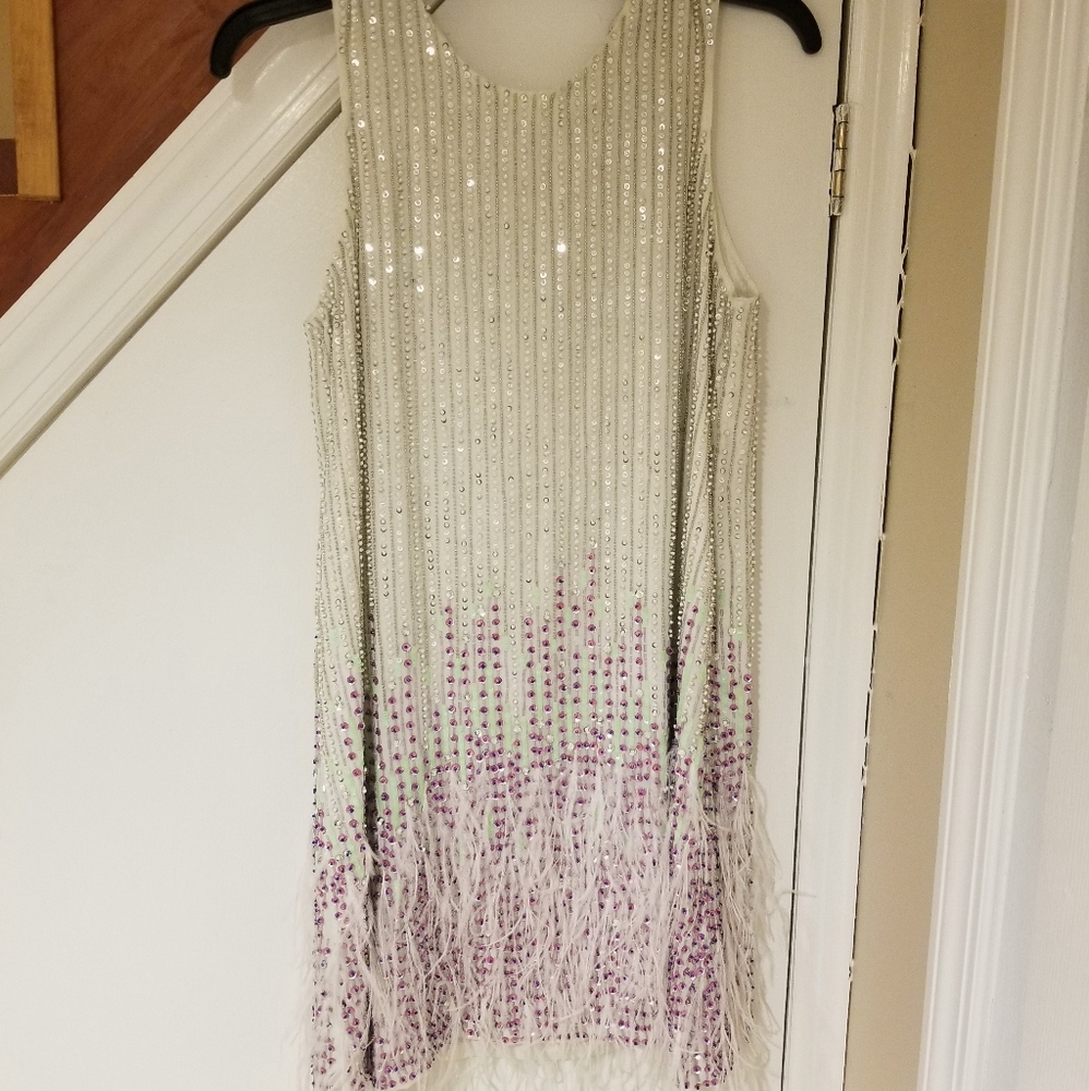 Parker Sequins and Feather Mini Dress